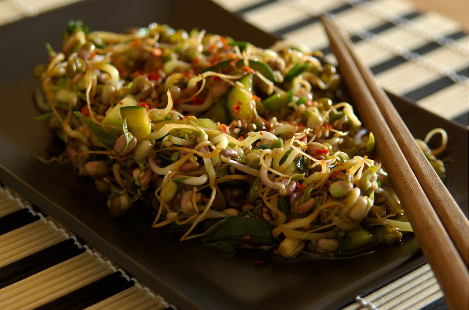 Japanischer Sprossensalat Rezept, vegan &amp; roh • Rohkost-Rezepte.com