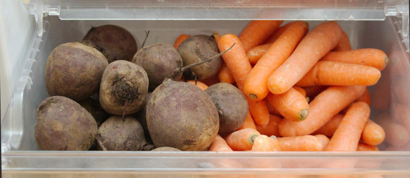 Rohkost Rezepte • Roh-Vegane Genüsse, die Freude machen